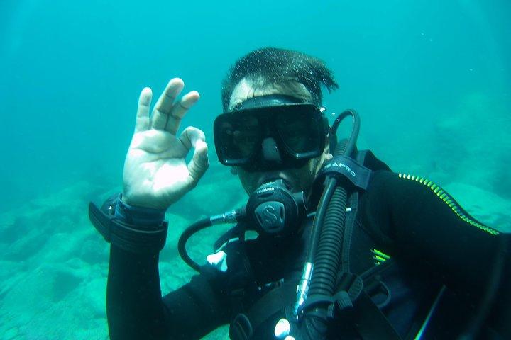 Tour diario de buceo en Gordon Rocks