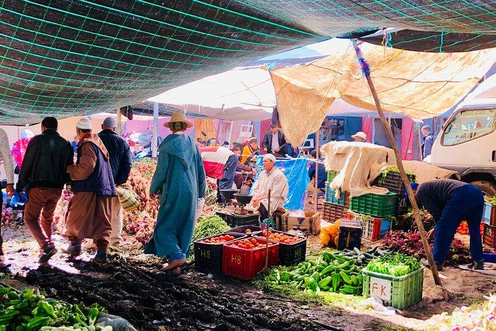 Atlas Mountains experience day trip