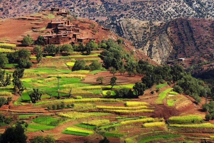 Marrakech: Atlas Mountains & Villages, Waterfalls, Camel Ride