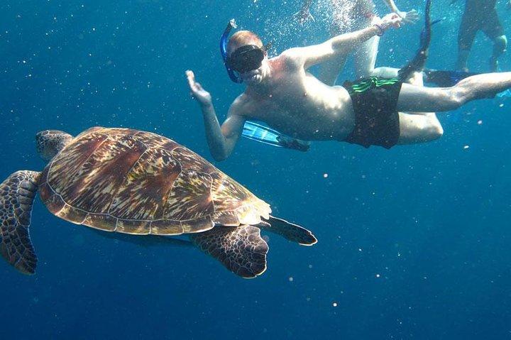 プーケットからのシースター アンダマンによるシミラン諸島シュノーケリング ツアー