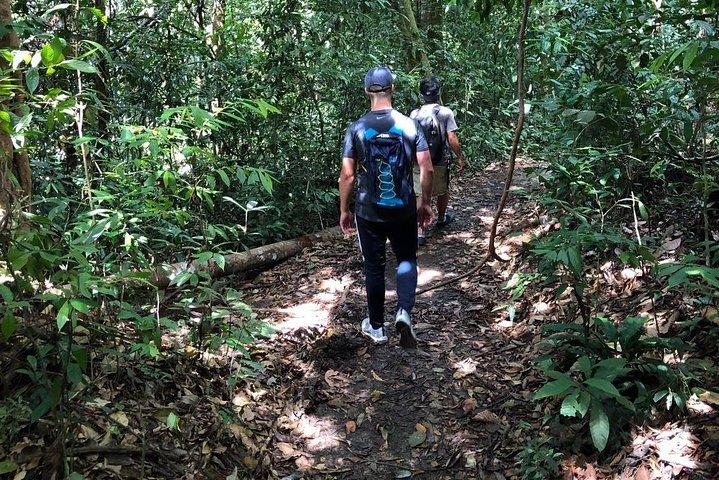 Excursion privée d'une journée à Bukit Lawang Trekking depuis Medan