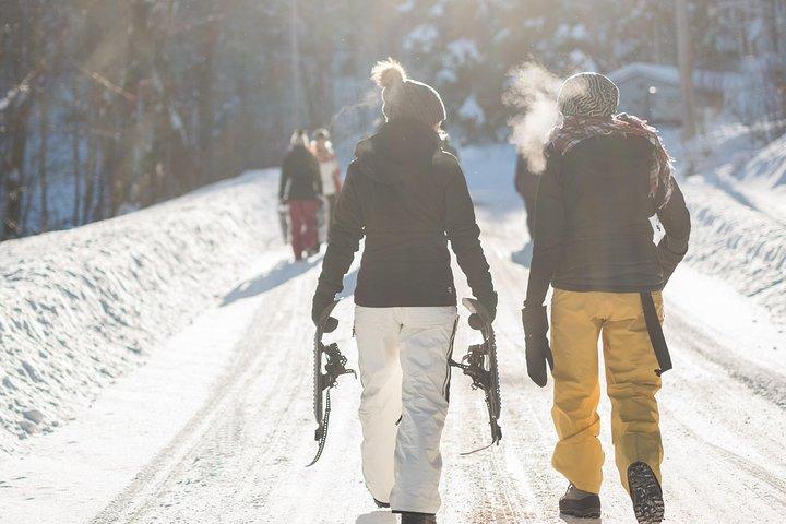 Transferência privada de Munique para Innsbruck, motorista que fala inglês