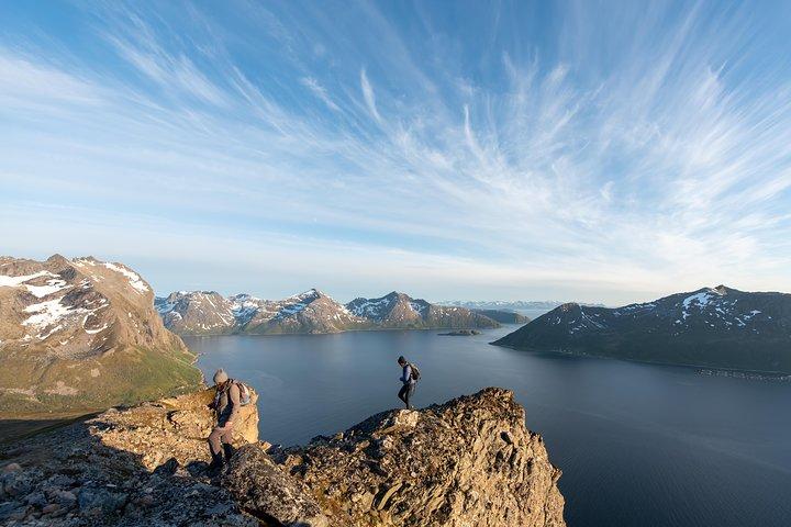 Tromsö: Midnattssolvandring med vandrande uggla