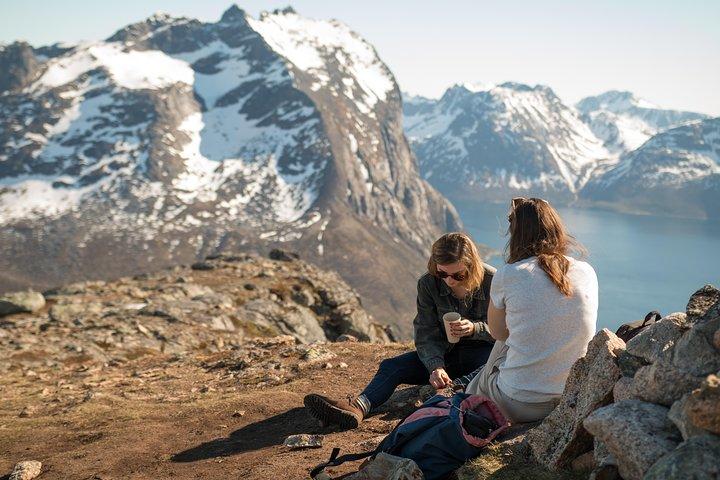 Tromsö: Sommardagsvandring med vandrande uggla