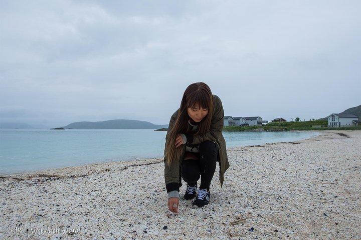 さまようフクロウと市民科学で行く夏のフィヨルドロードトリップ