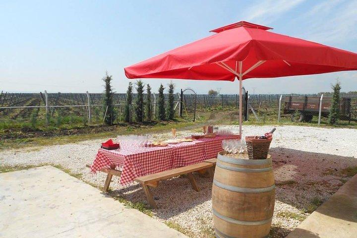 Full-Day Wine Tour from Istanbul