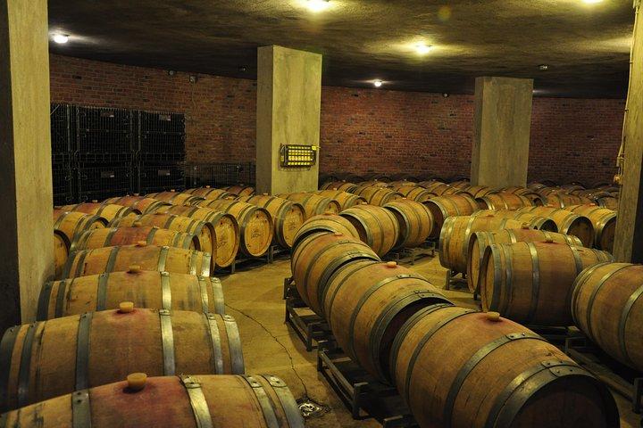 Full-Day Wine Tour from Istanbul
