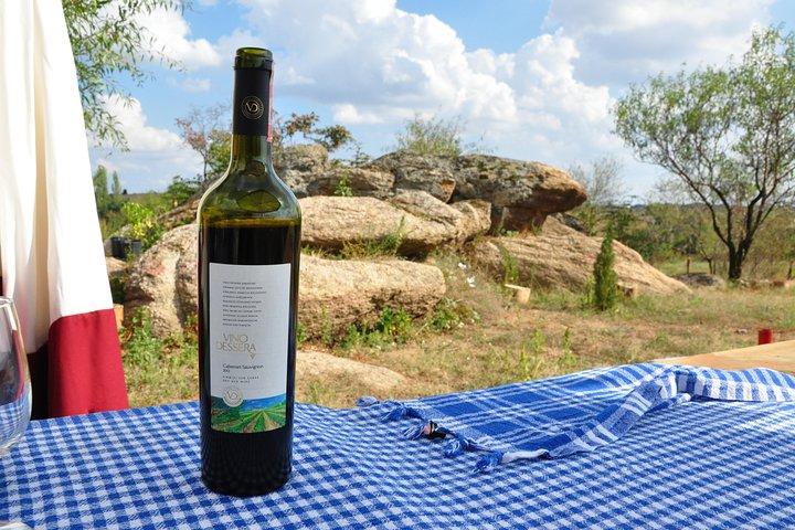 Full-Day Wine Tour from Istanbul