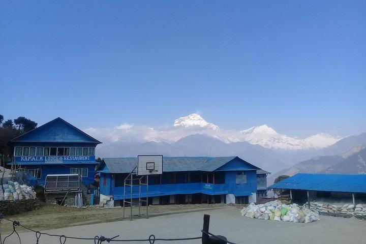 Poon Hill Trek - 4 Tage / 3 Nächte (Ex Pokhara)