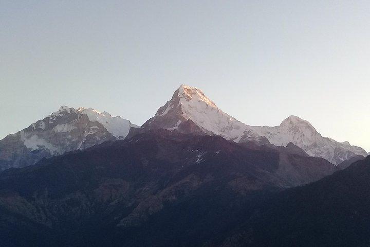 Poon Hill Trek - 4 Tage / 3 Nächte (Ex Pokhara)