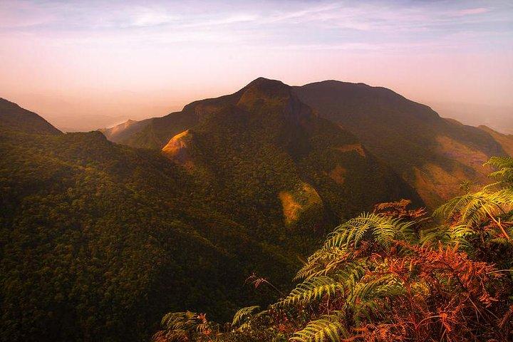 Horton Plains National Park-tur fra Nuwara Eliya med ferievandrere Srilanka