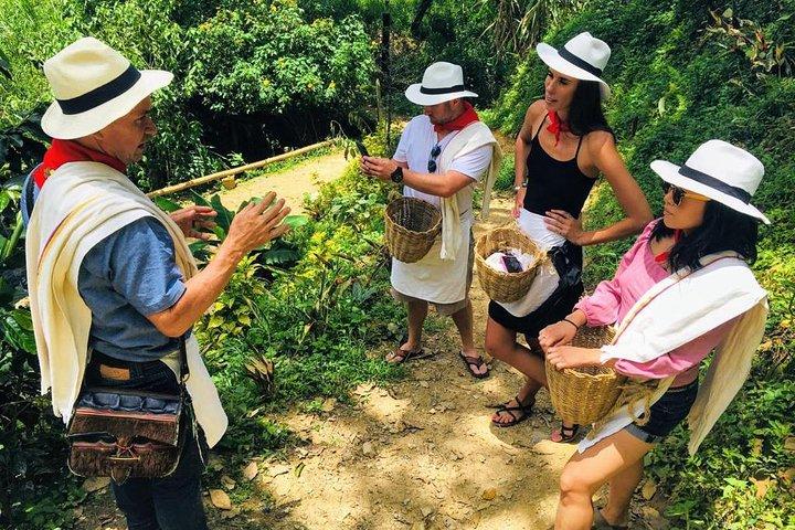 EXPERIENCES COLOMBIA (coffee tour)