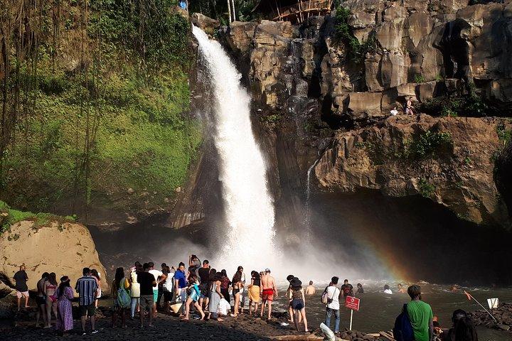 Ubud Monkey Forest And Waterfall Private Day Trip.