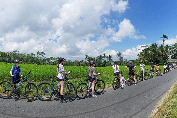 Il miglior tour mattutino di Kintamani in bicicletta a Bali