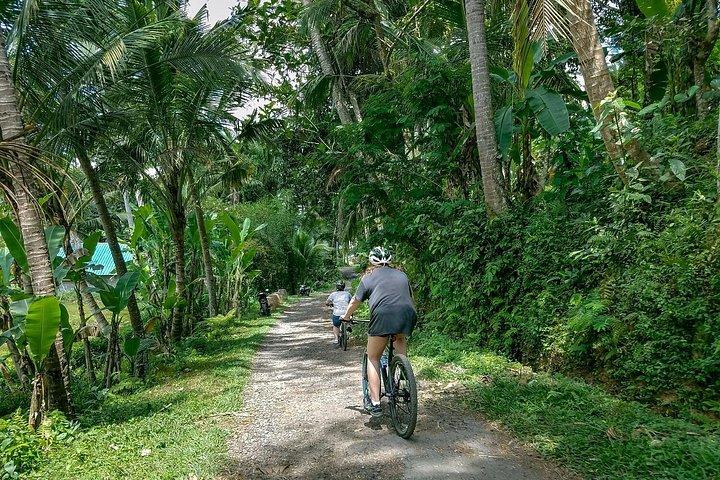 Morgen bedste Bali Cykel Kintamani Tour