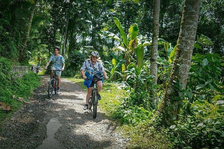 Morgen bedste Bali Cykel Kintamani Tour