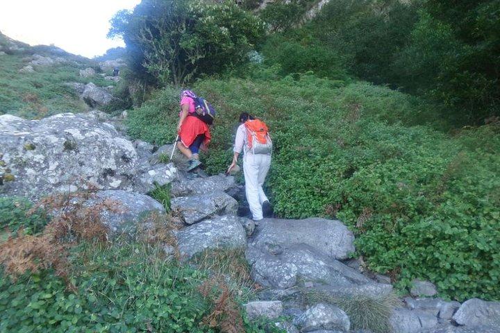 Ravin de la pépinière - Montagne de la Table