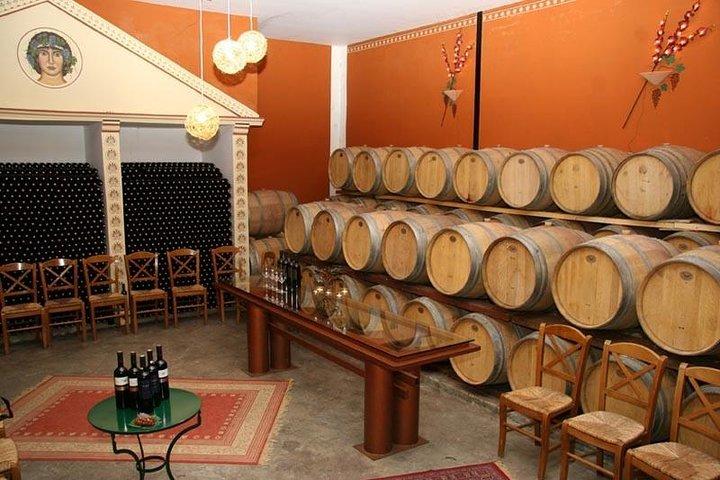ナフプリオのネメアでのワインの試飲の世界