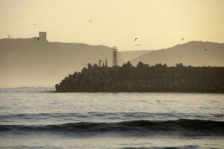 Essaouira guidad tur: 3 på 1 - Nattlivstur, lev som en lokal mat och gatamat