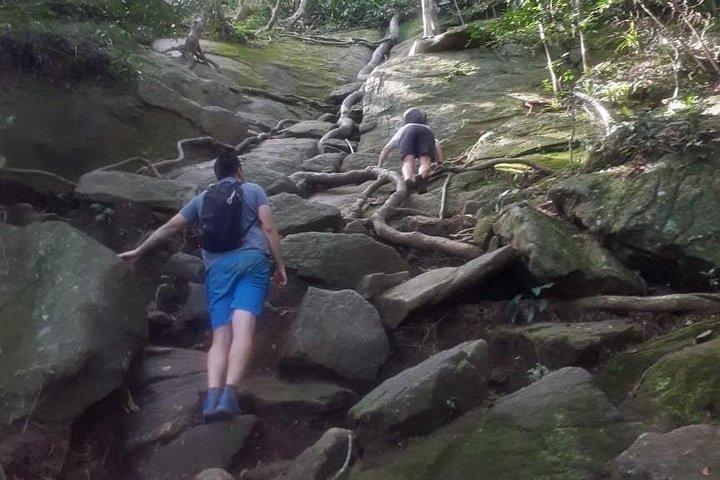 Pedra da Gavea Hike - ベストプライス - 小グループ