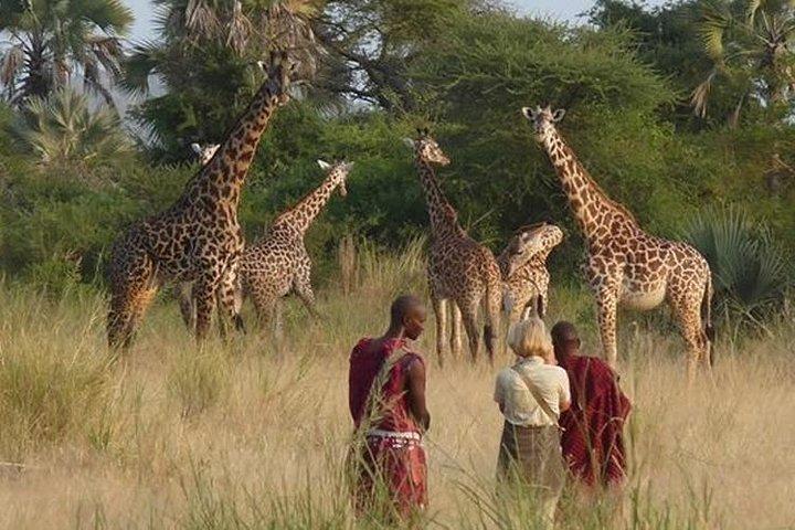 Safari privato della Riserva Nazionale Masai Mara di 3 giorni