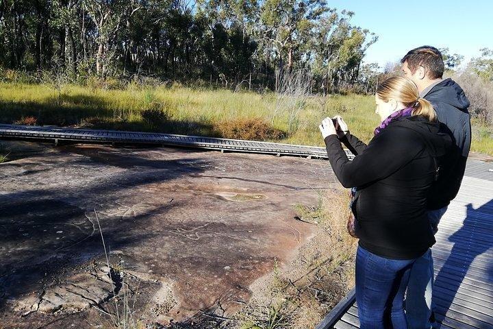 Kangaroo Encounter & Aboriginal Rock Arts Half-Day Trip from Sydney