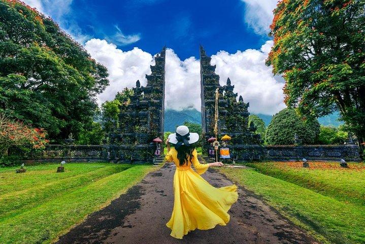 Embauchez un chauffeur de Bali pour 10 heures (Bali à votre guise)