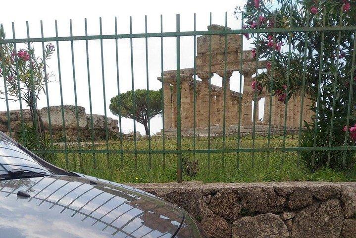 From Positano Paestum Temples Mozzarella Farm, Wine tasting lunch