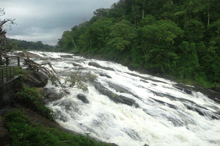 Athirappally & Vazhachal Waterfall Tour with Lunch