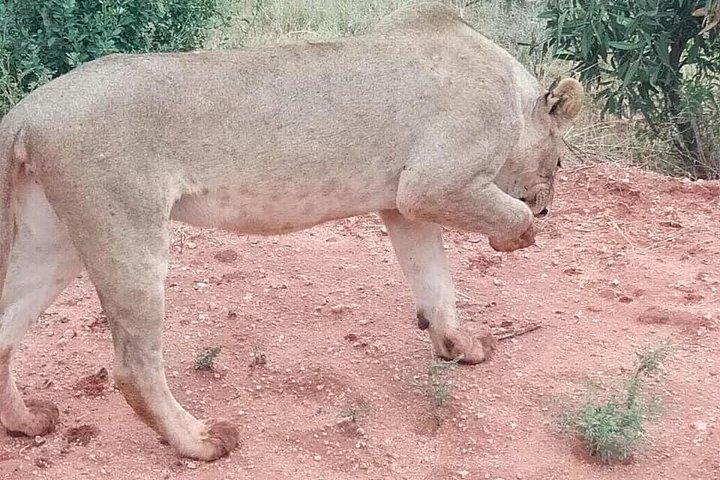 3 days safari Tsavo East and West