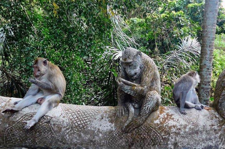 Embauchez un chauffeur de Bali pour 10 heures (Bali à votre guise)