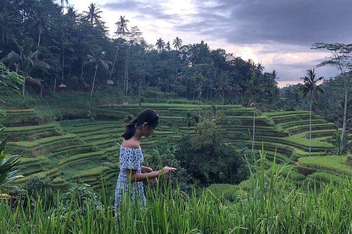 Embauchez un chauffeur de Bali pour 10 heures (Bali à votre guise)