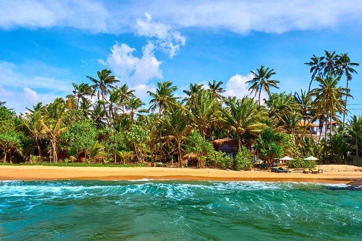 Bentota Hotel till Bandaranayake International Airport (BIA) Transfer