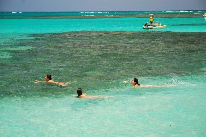 Privater Transfer von Recife nach Maragogi von 01 bis 06 Pax durch Geotur Receptives