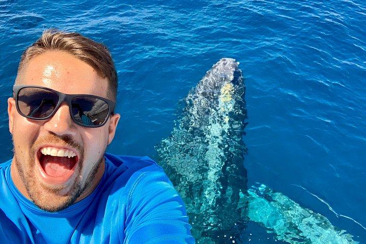 マウイ・ホエールウォッチング・ツアーマアラエア発クイックシルバー号乗船