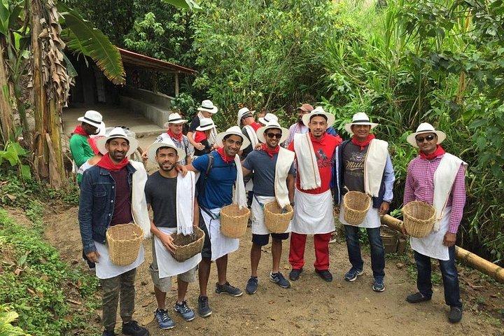 Guatape, Fruit tasting & Coffee Tour