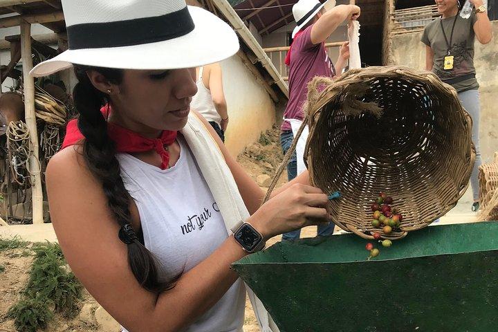 Guatape, Fruit tasting & Coffee Tour