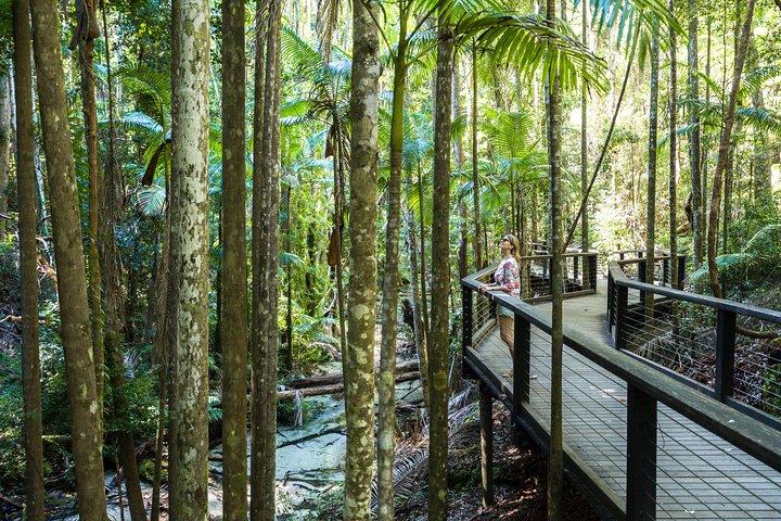 K'gari (Fraser Island) All Inclusive Day Tour