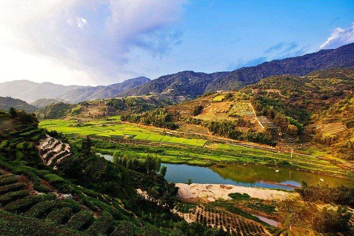 Guia e carro: excursão privada de um dia à vila antiga de Yunshuiyao saindo de Xiamen