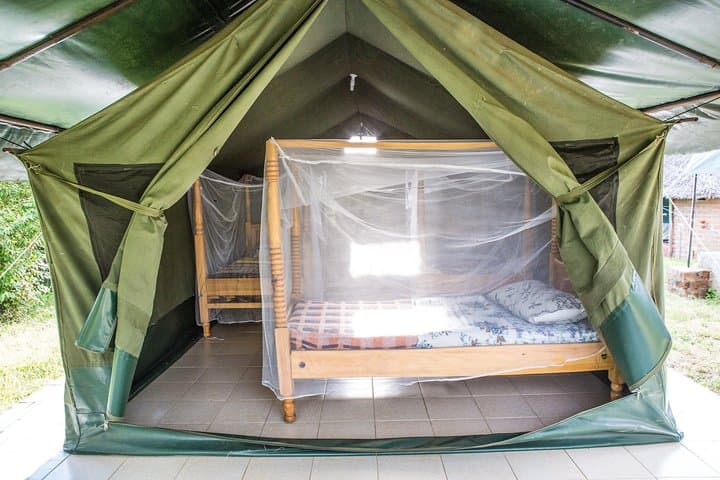 4 Days Maasai Mara and Lake Nakuru Budget Safari in Kenya