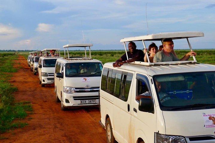 4 dagar Masai Mara & L. Nakuru National Park Experience