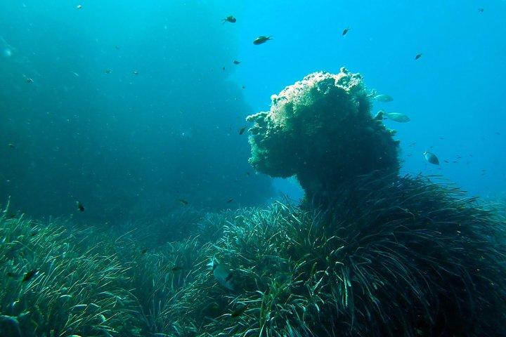 Battesimo di immersioni dalla barca