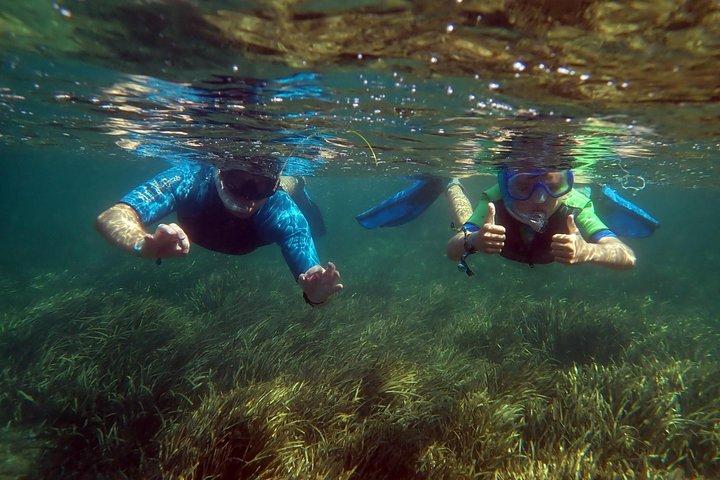 Snorkeludflugt i Isla de Tabarca