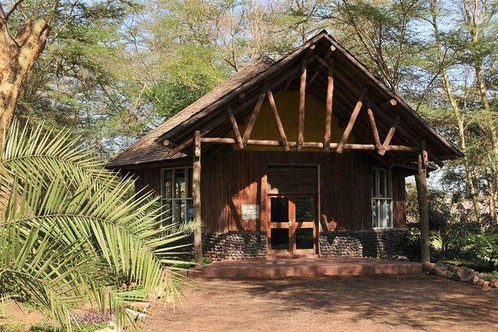 4 jours de safari à Amboseli, Tsavo, ouest et est au Kenya
