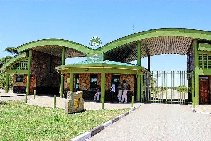 3 jours 2 nuits Amboseli Safari