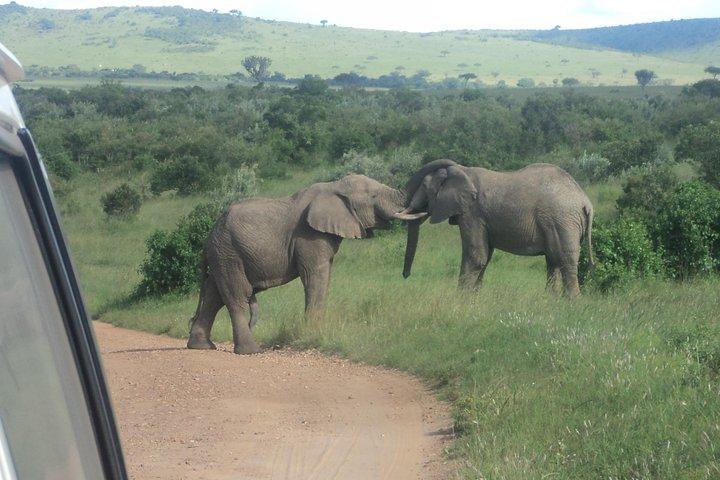 ナイロビからのマサイマラ国立保護区への3日間のサファリ旅行