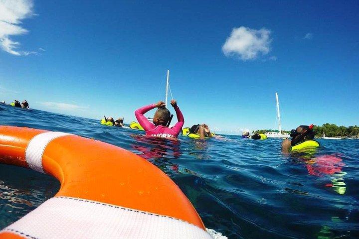 Sosua Catamaran Udflugt