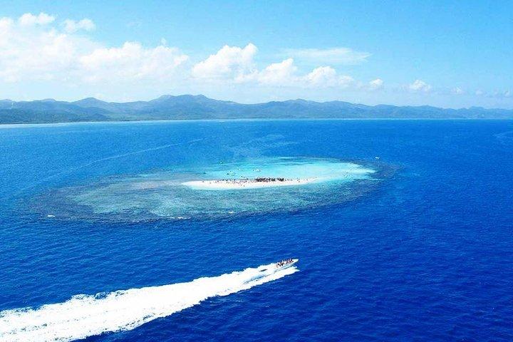 Tour VIP a Paradise Island e The Mangroves