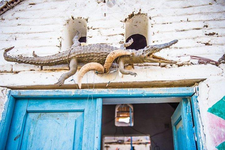 Nubian Village Tour por Felucca no Nilo em Aswan