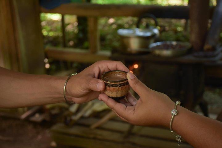 Rainforest Chocolat & La Fortuna Waterfall Adventure